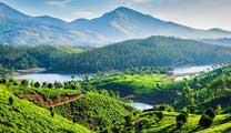 Munnar,India.jpg